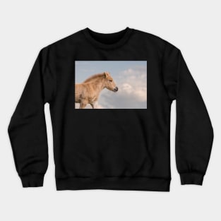 Foal Crewneck Sweatshirt